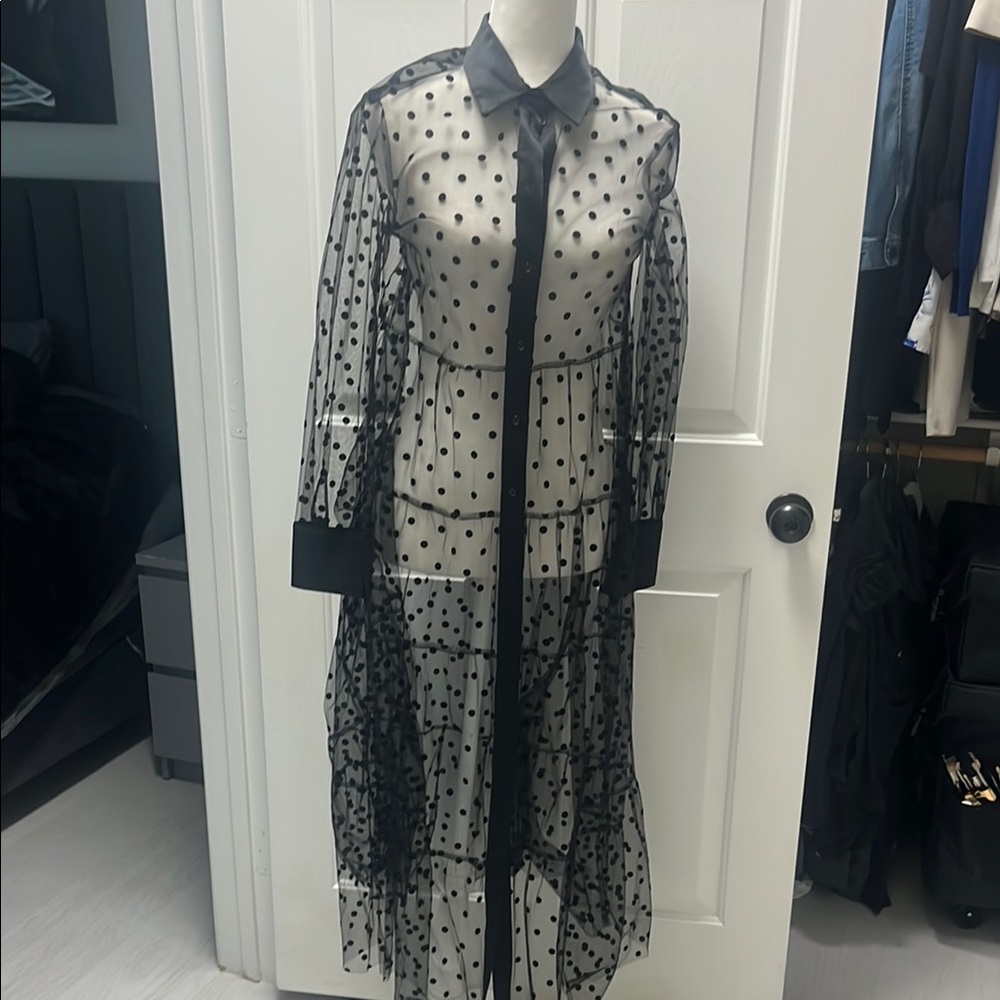 Black Polka Dot Sheer Dress